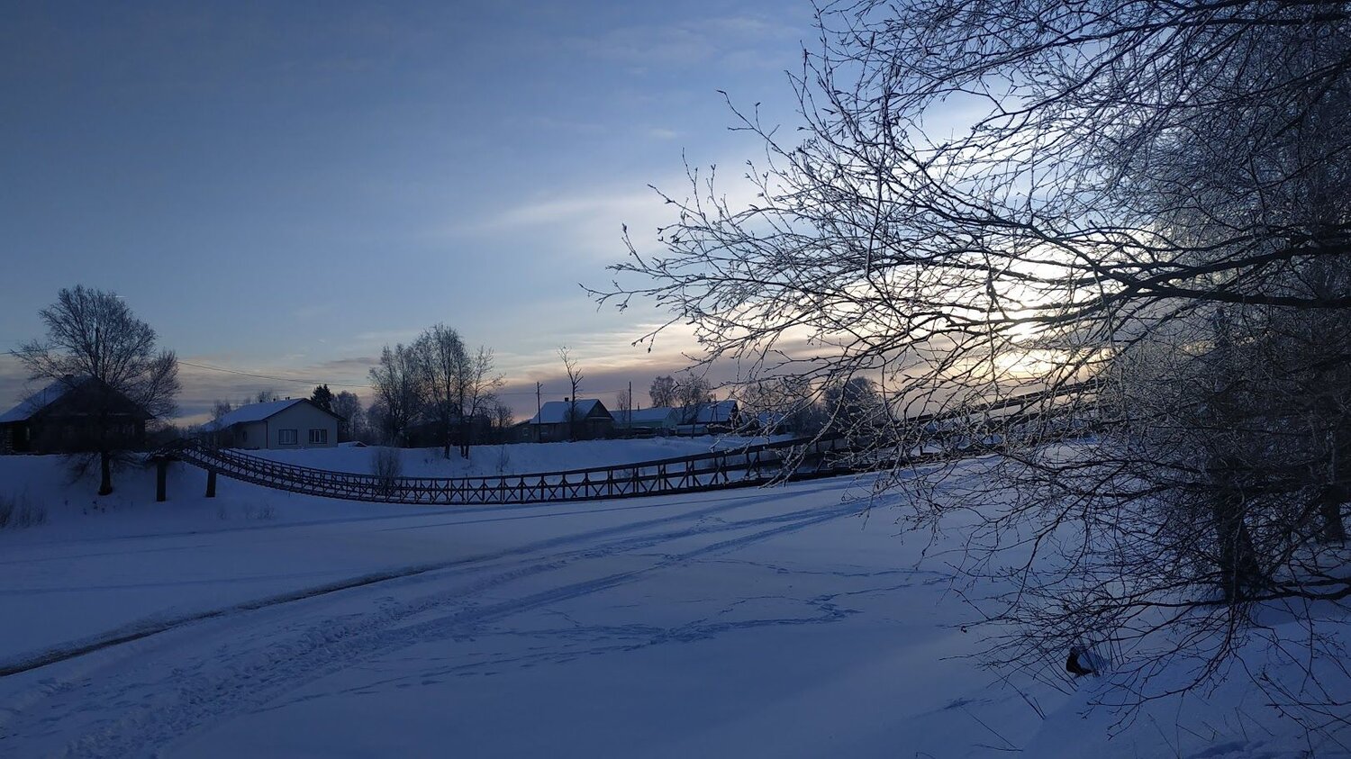 Photo #8723350