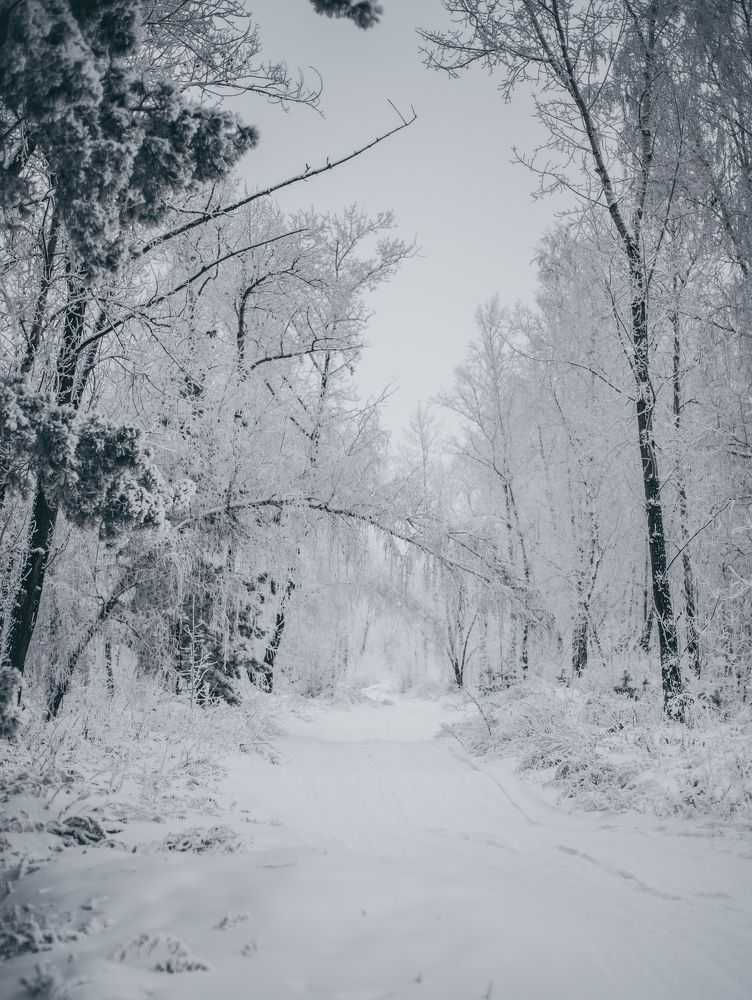 Photograph by Игорь Черемных