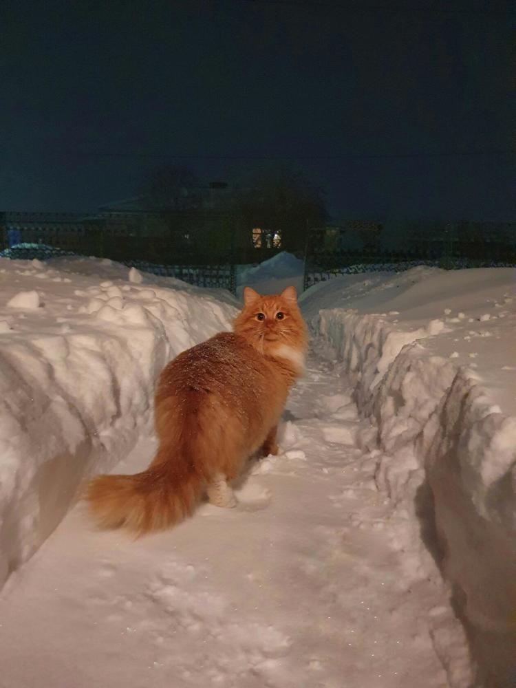 Photograph by Екатерина Верясова