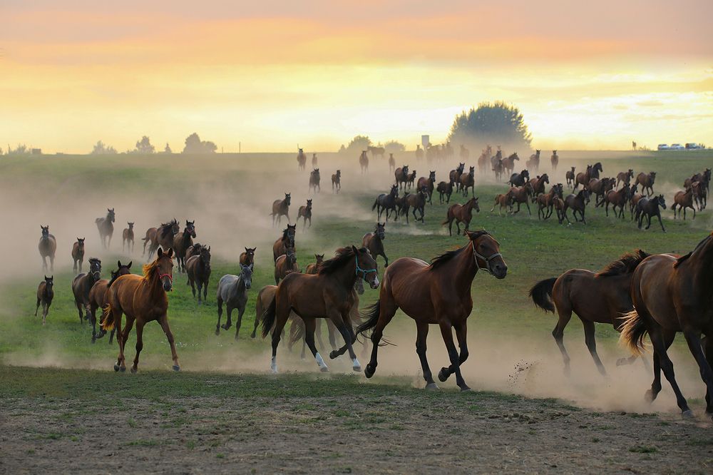 От заката на восход
