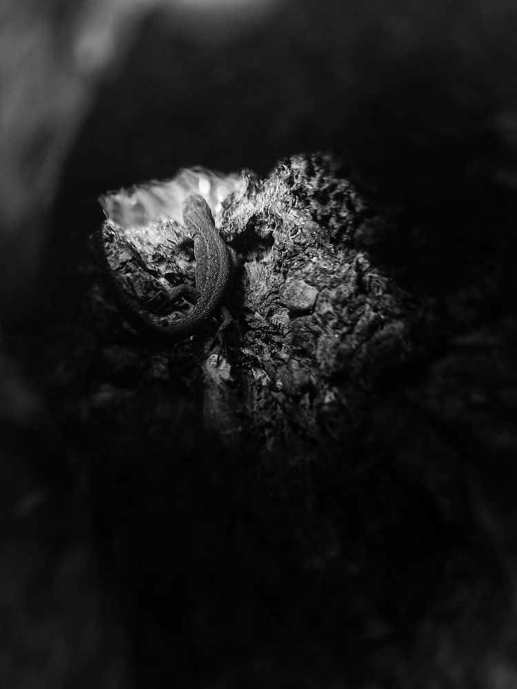 Photograph by Елена Подшевалова