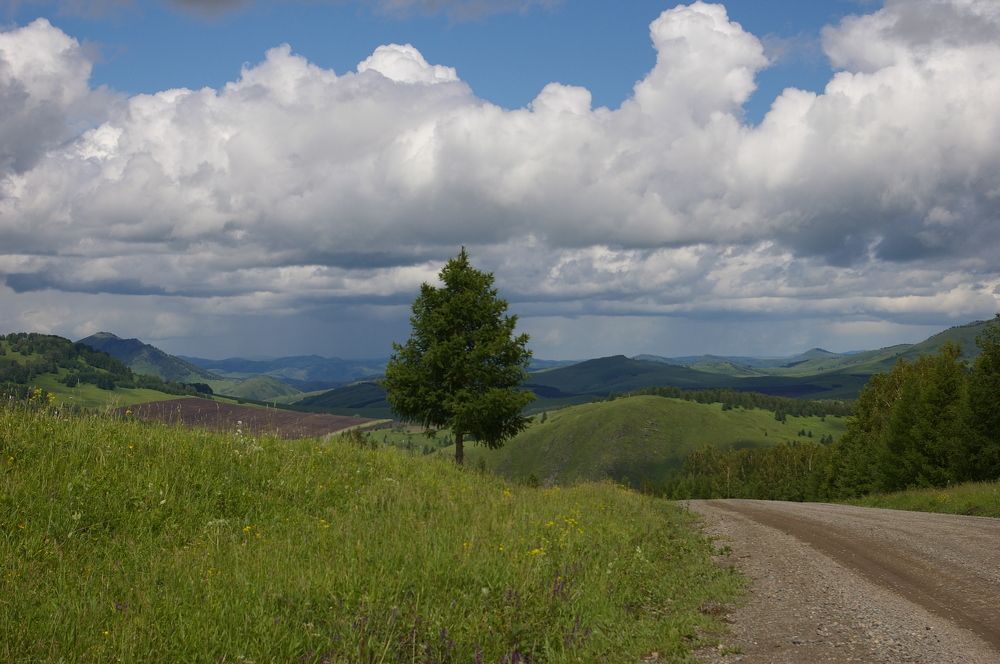 Photograph by Елена Алешкевич