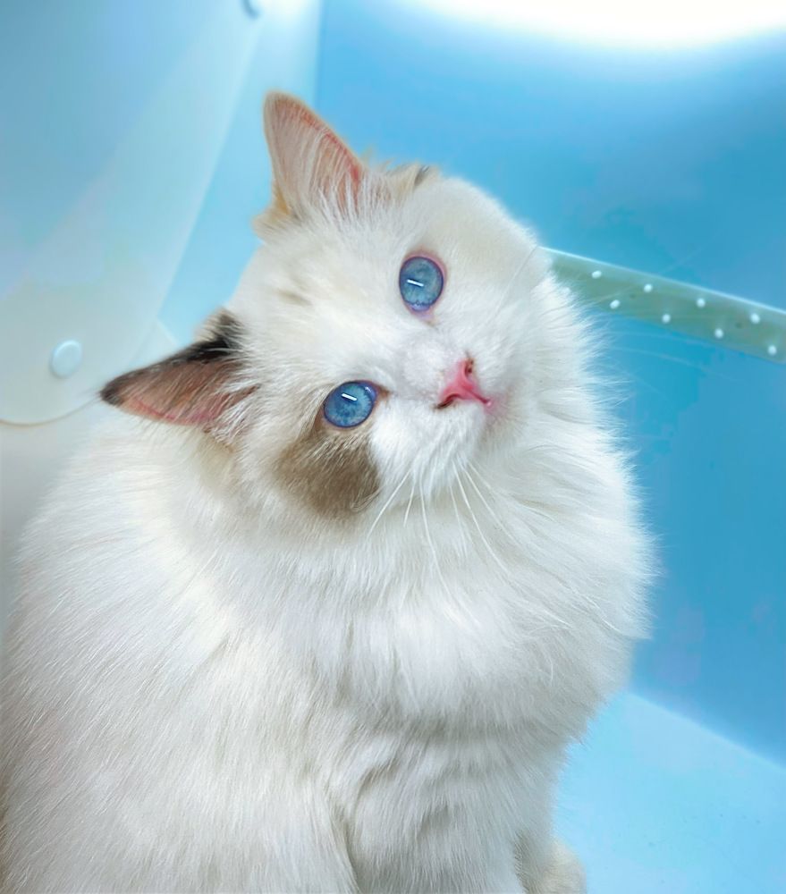 Photograph by Ксения Орлова