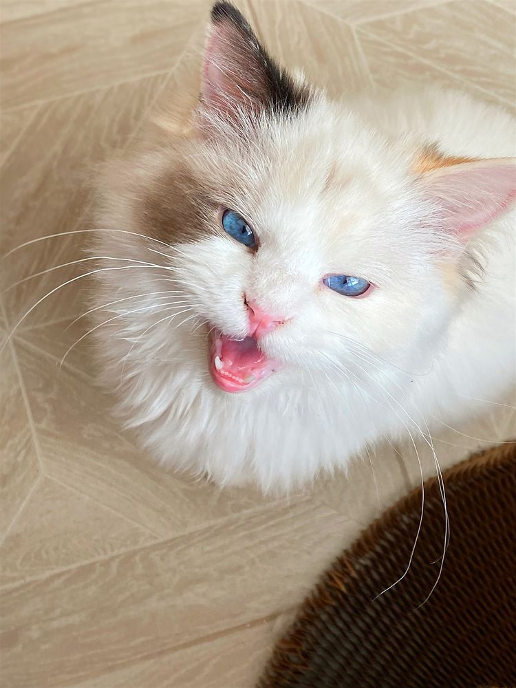 Photograph by Ксения Орлова