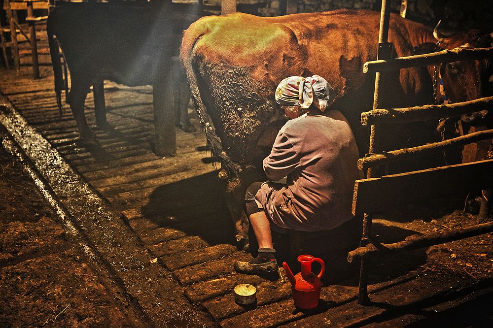 Photograph by Magov Marat