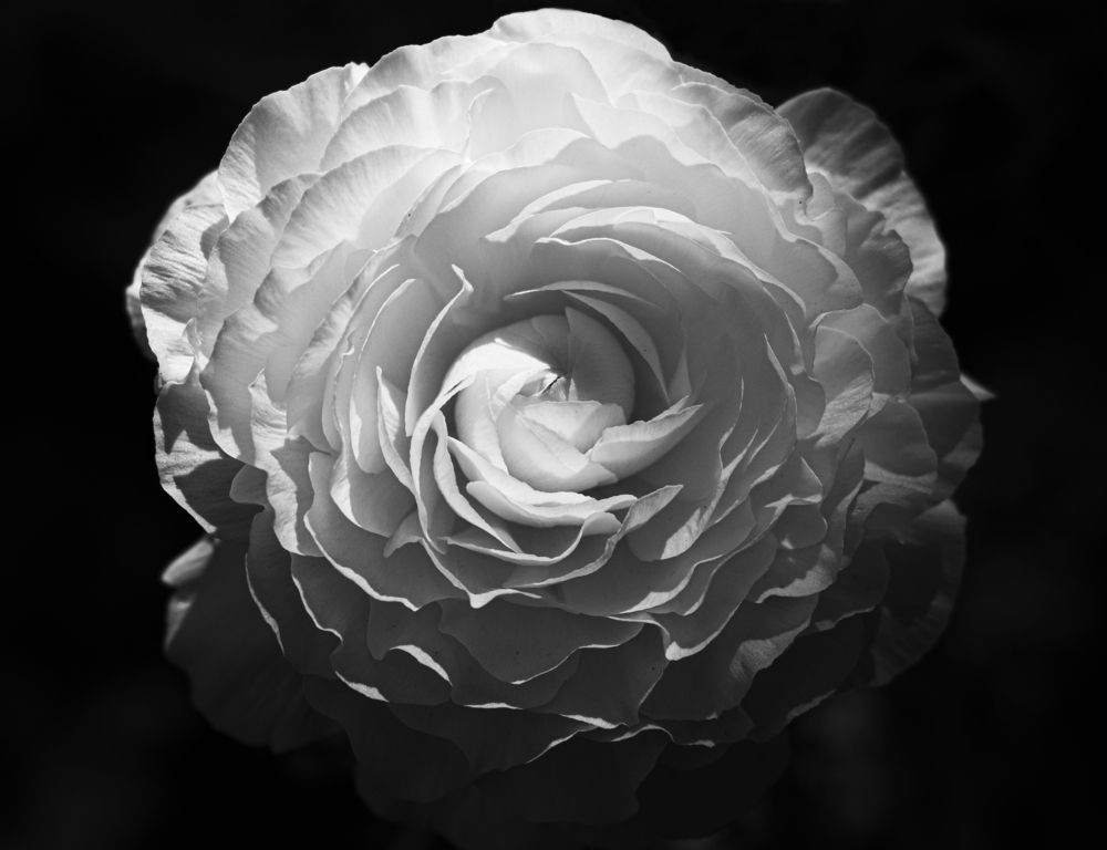 Photograph by Лия Яковлева