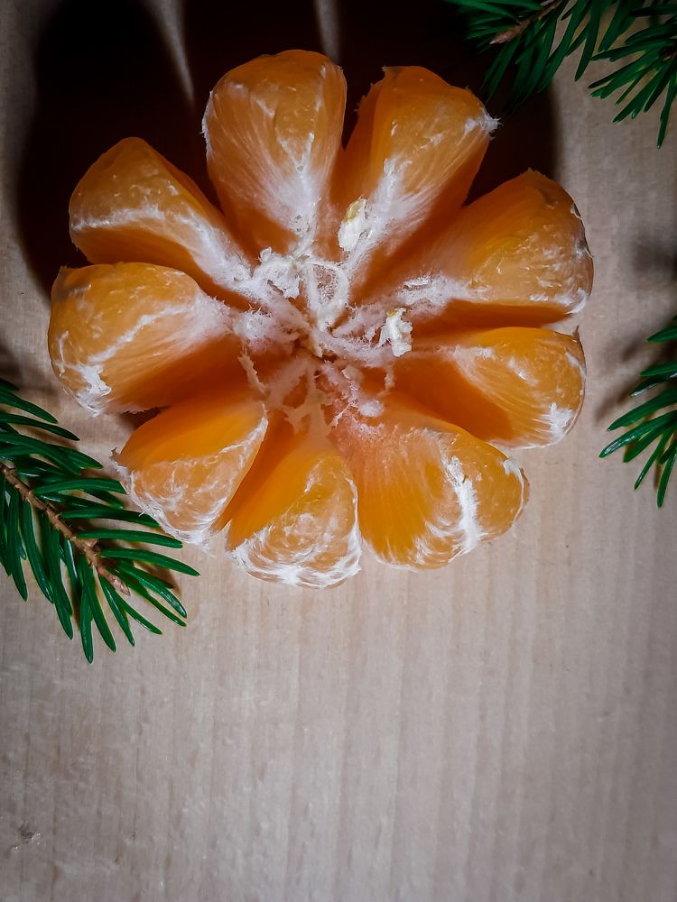 Фотография автора Лена Гром