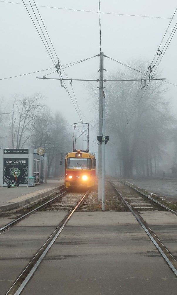 Фонарики в тумане / Lights in the Fog