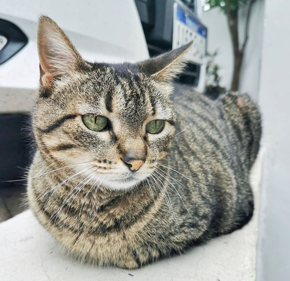 Photograph by Ivan Monges