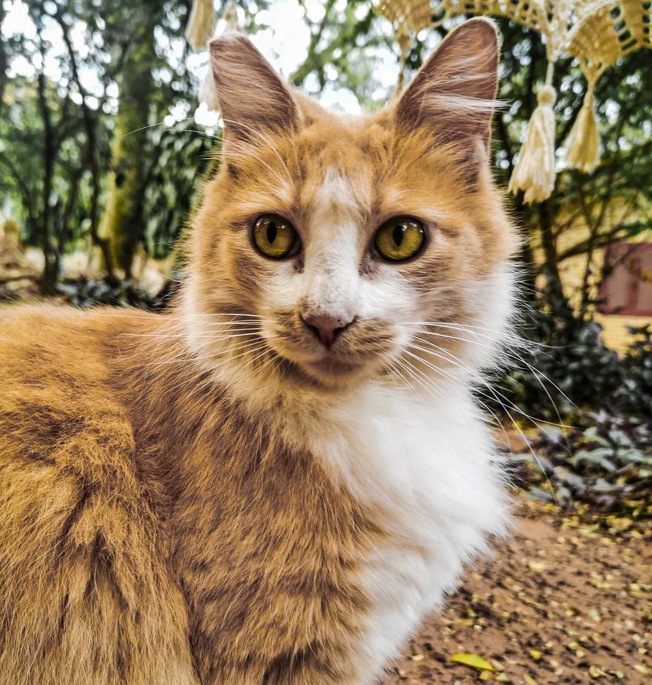 Photograph by Ivan Monges