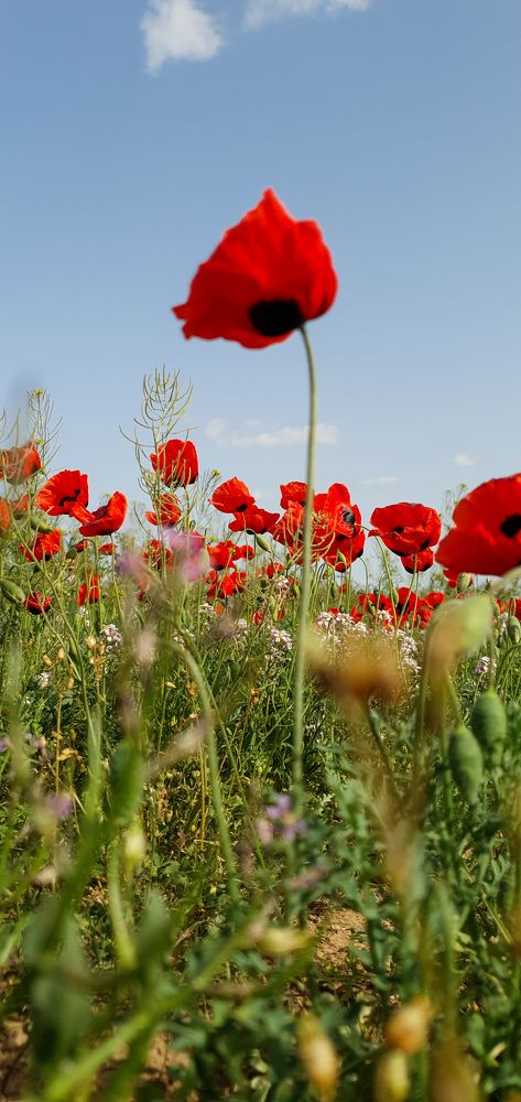 Фотография автора Жанна