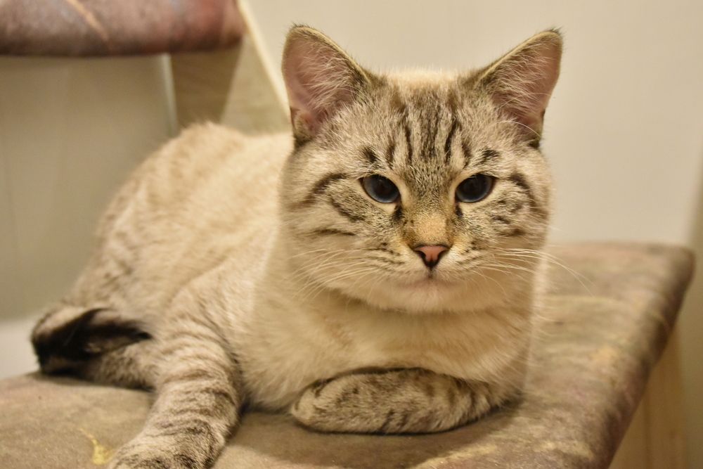 Photograph by Элеонора Безженова