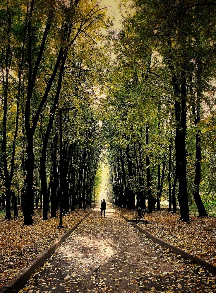 Photograph by Ольга Мартьянова