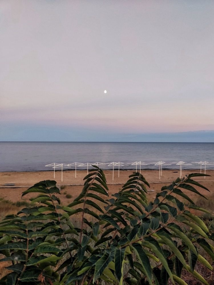 Photograph by Ольга Мартьянова