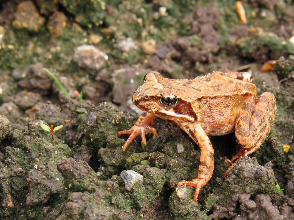 Photograph by Анастасия Романова