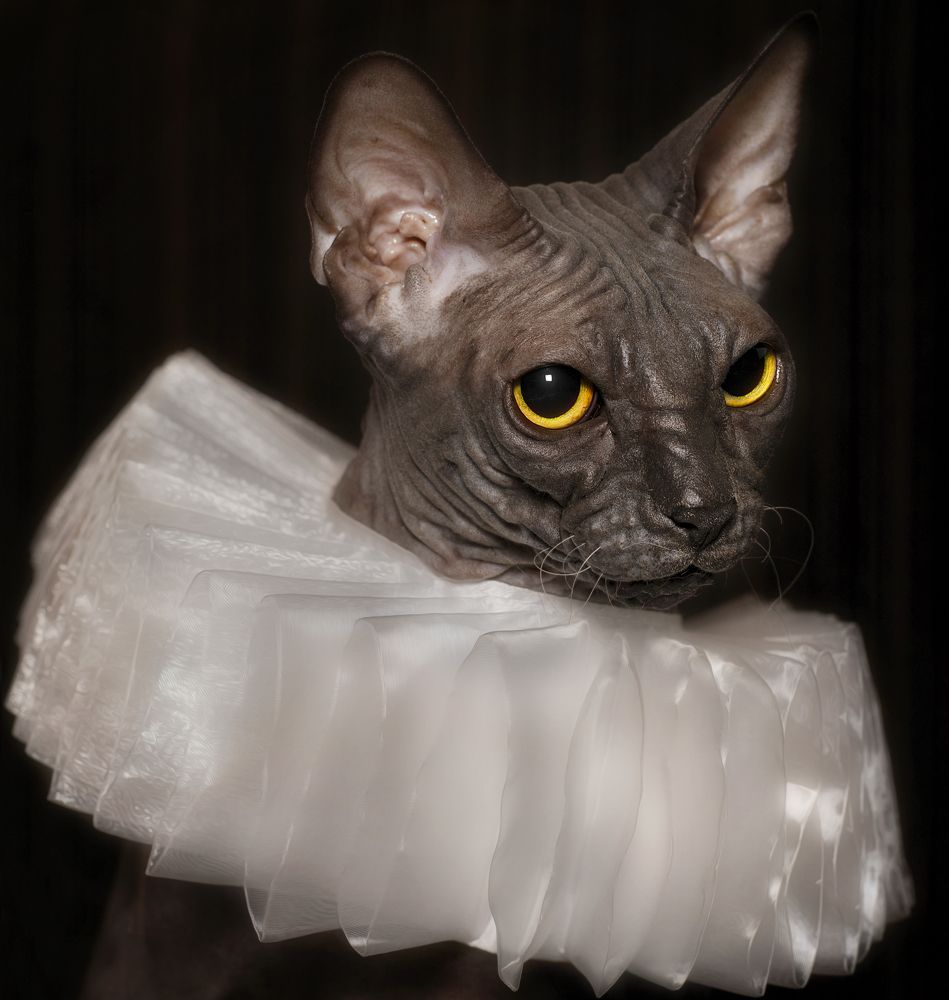 Photograph by Ирина Ефимова