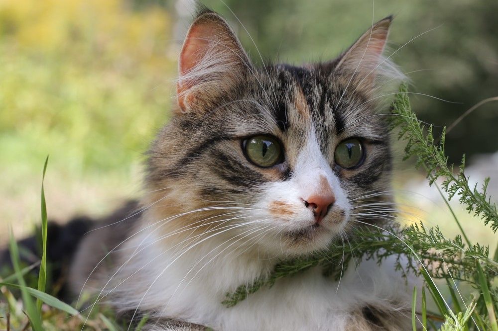 Photograph by Юдина Инна