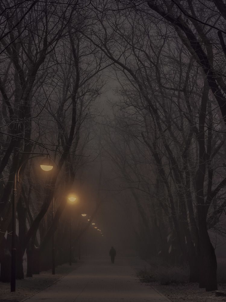 Photograph by Владимир Кульбит