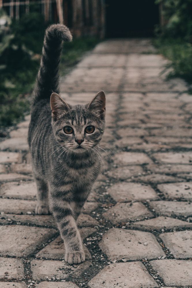 Photograph by Александра Механошина