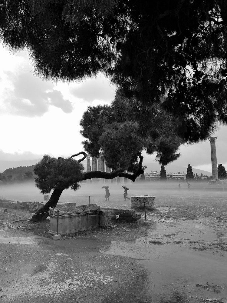 Photo #8723797