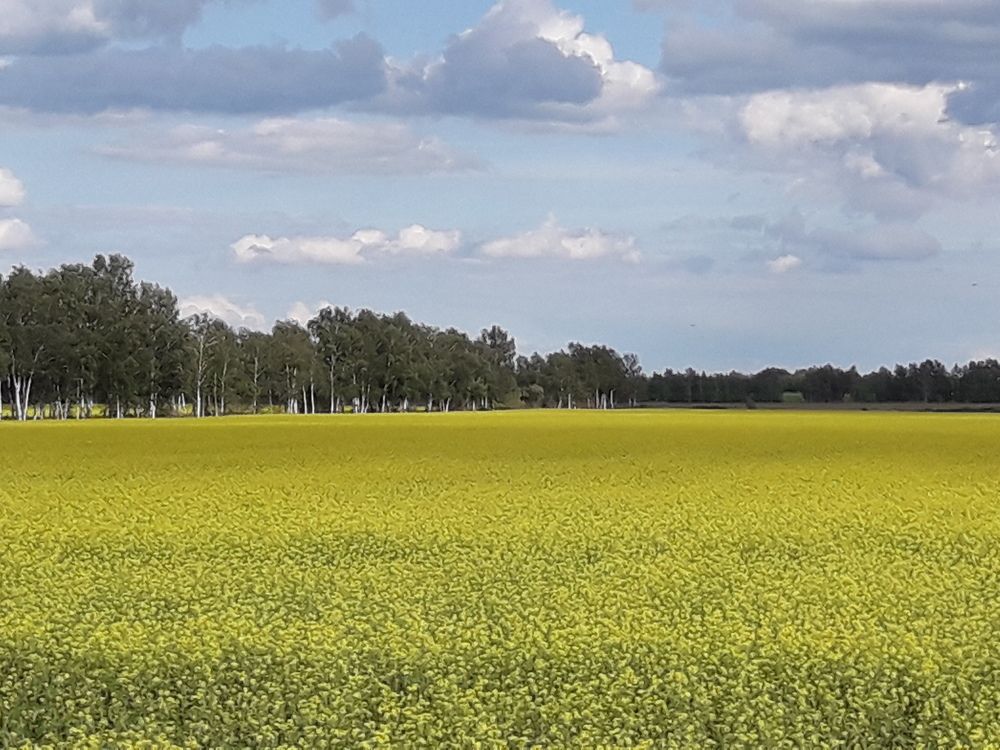 Photograph by Елена Алешкевич