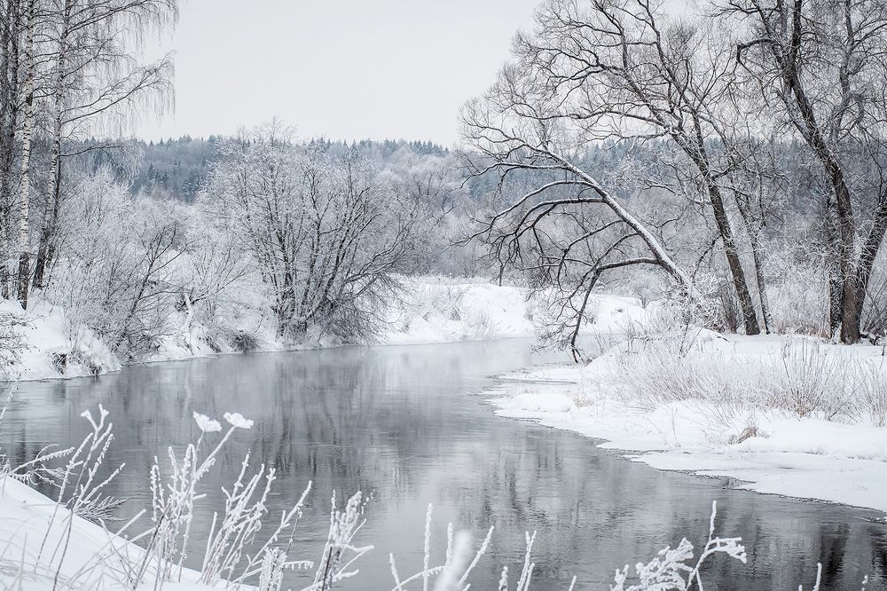 В морозный день