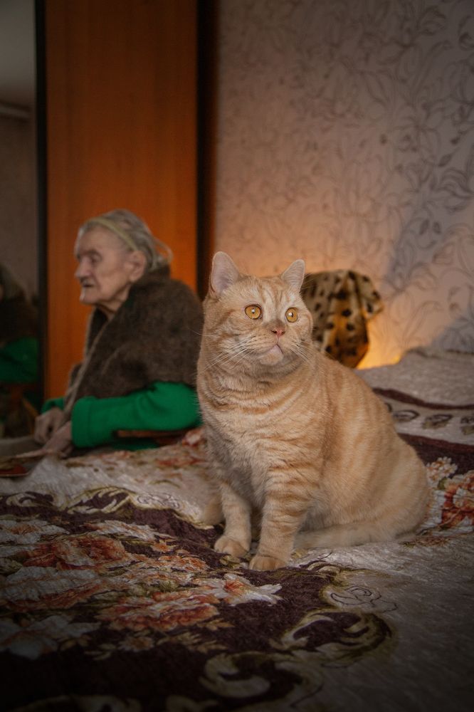 Photograph by Ксения Гуляева