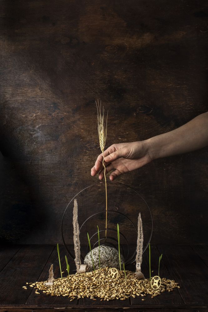 "Интерпретация. По семенам и всходы".