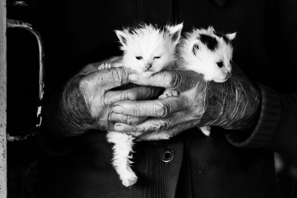 Фотография автора Невмержицкий Валерий