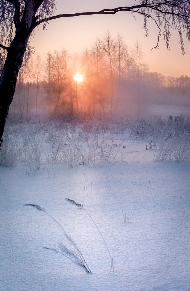 Photograph by Константин Гончаров