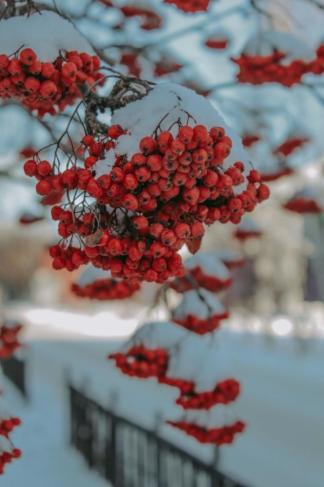 Photograph by Валентина Ильиных