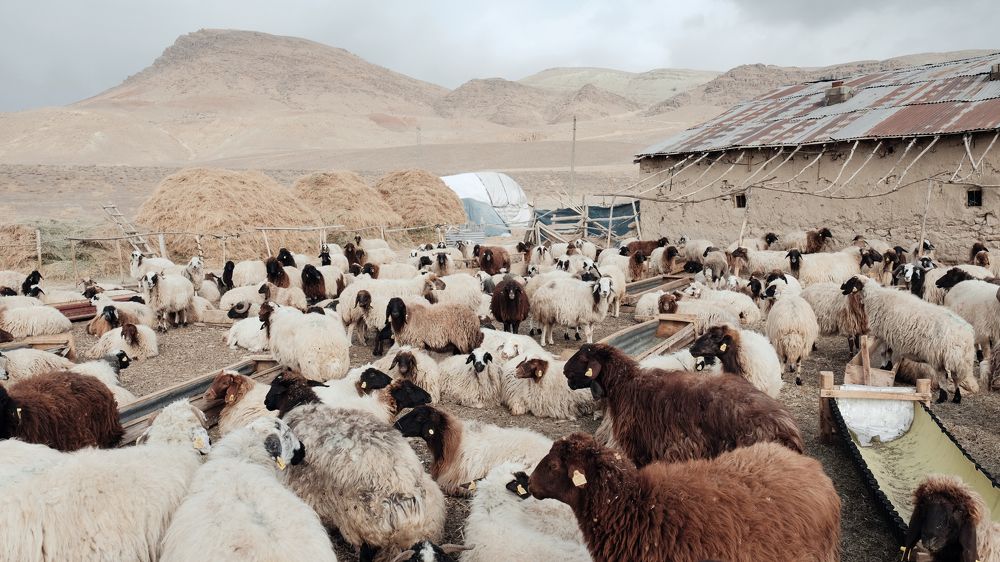 Photograph by Alex Belov