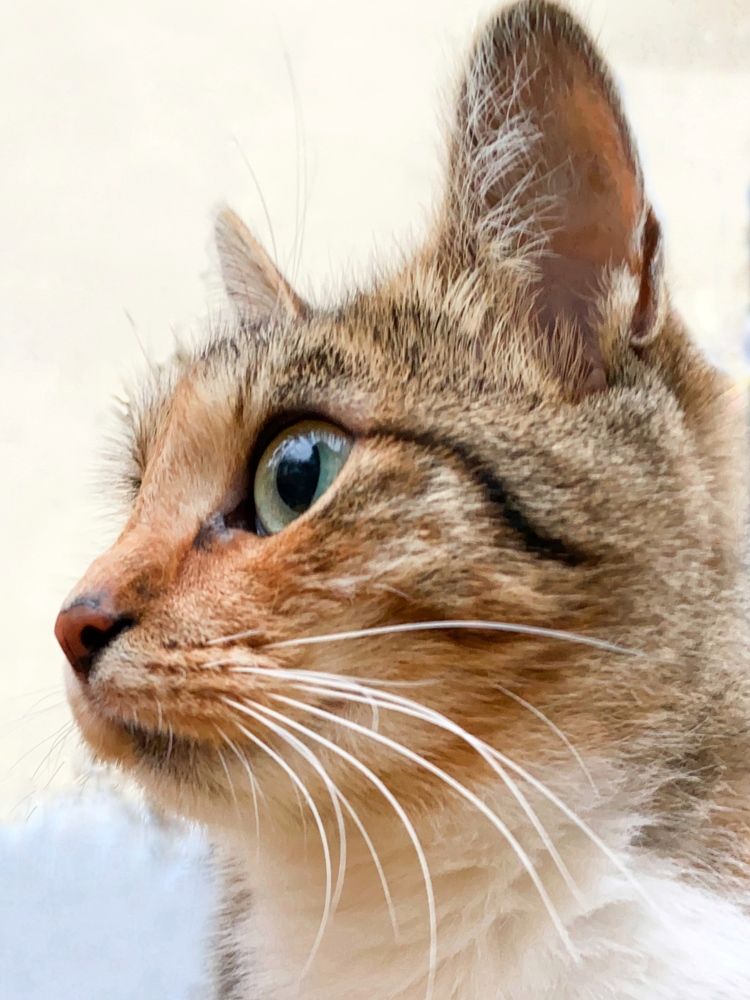 Photograph by Екатерина Бердутина