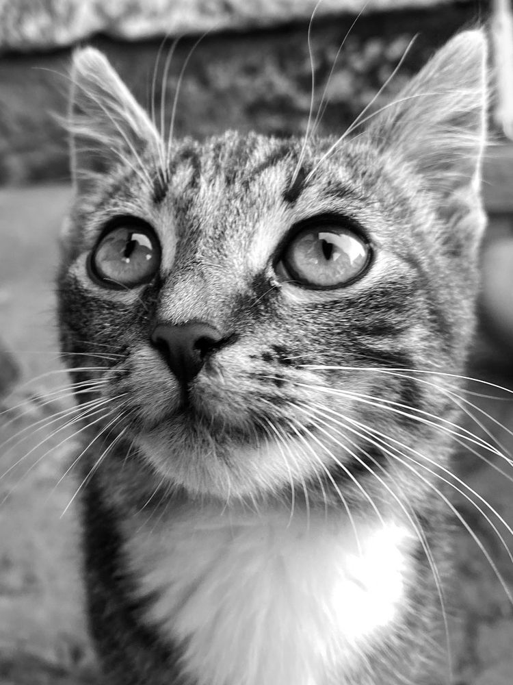 Photograph by Екатерина Бердутина