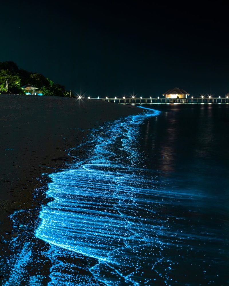 Photograph by Nazim Ahmed