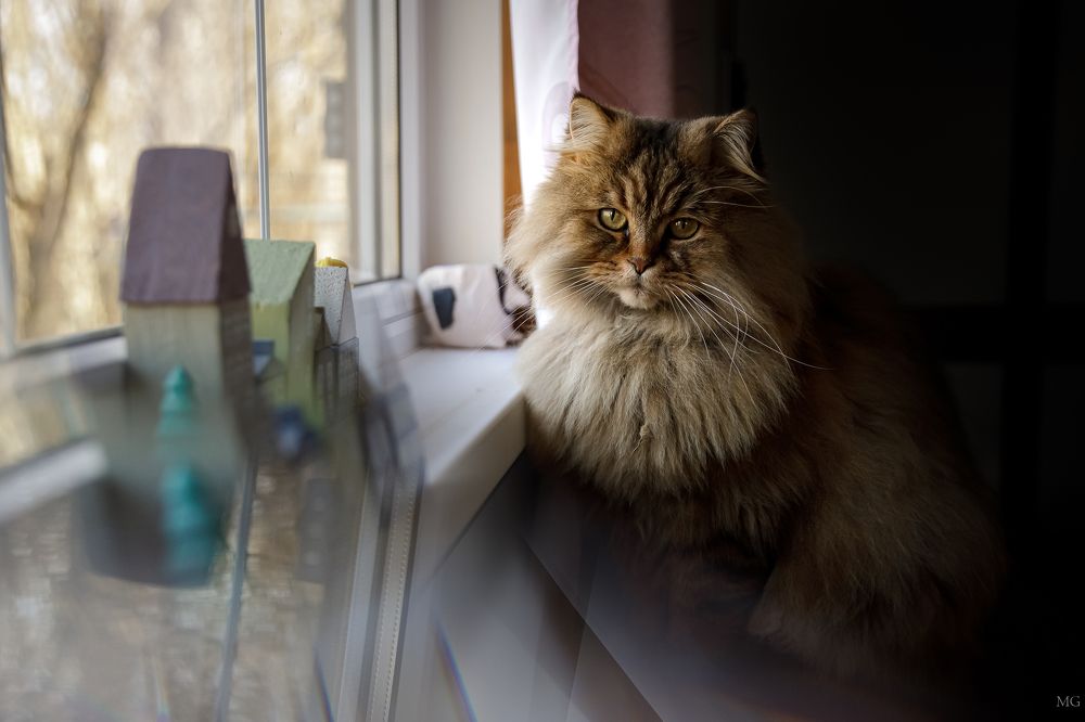 Photograph by Marya Gontar