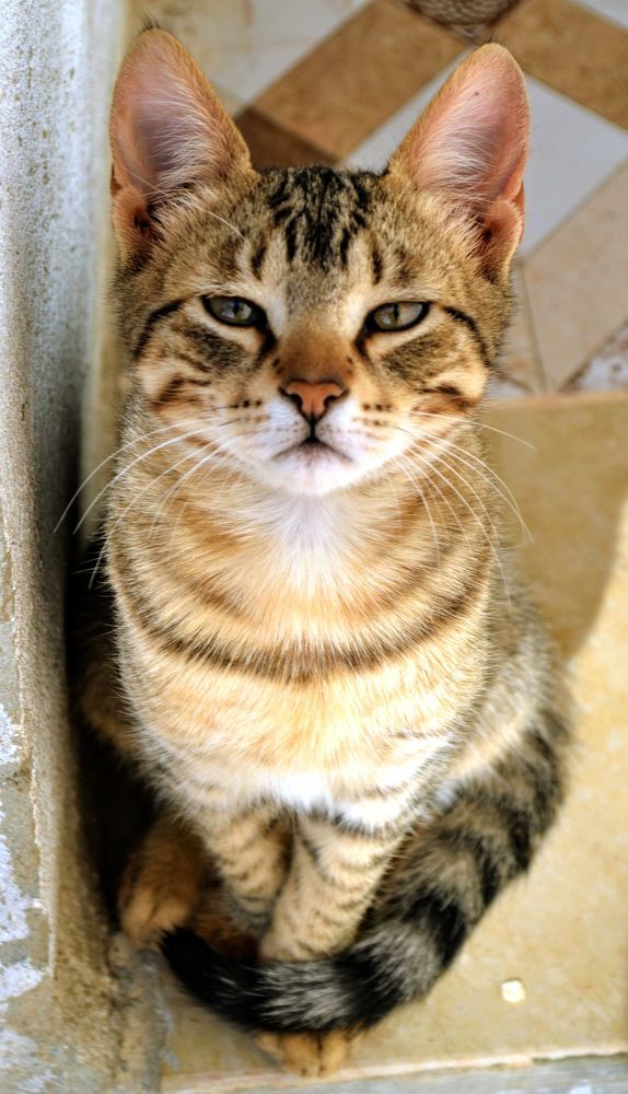 Photograph by Sakhria Mbarki