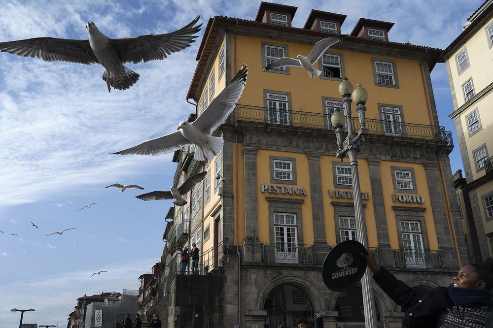 Photograph by JOAQUÍN GÓMEZ SASTRE