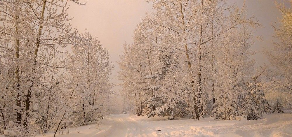 Photograph by Игорь Черемных