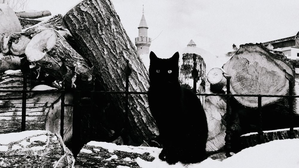 Photograph by Alex Belov