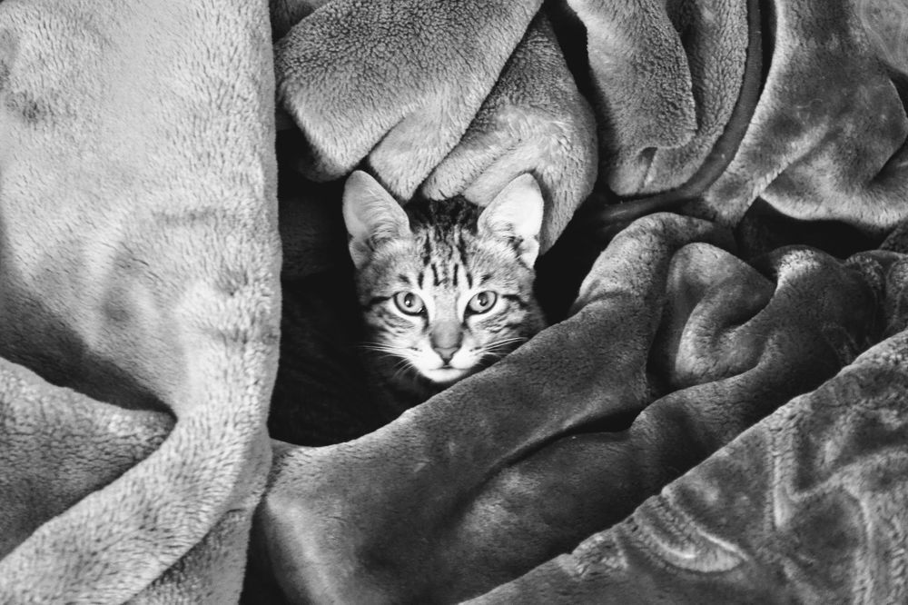 Photograph by Sakhria Mbarki