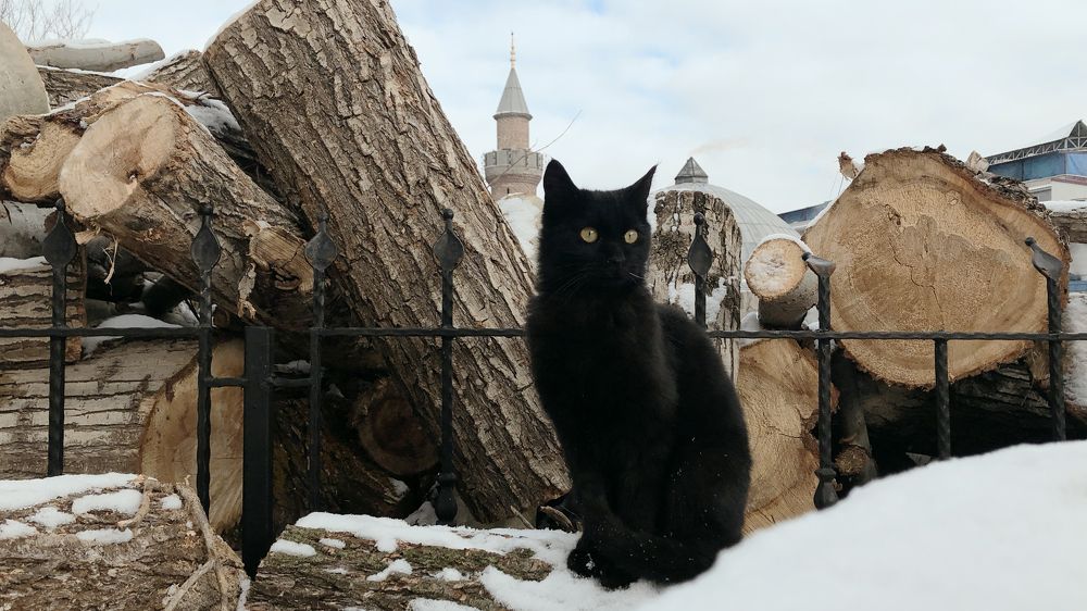 Photograph by Alex Belov