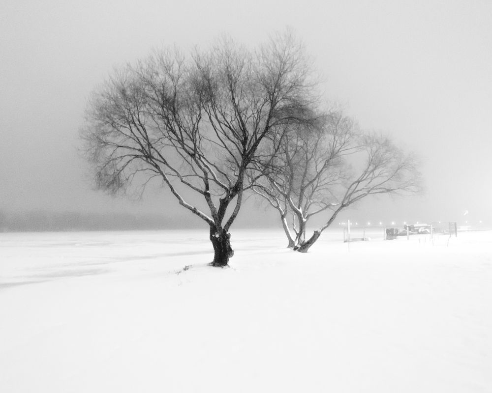 Photograph by Надежда Смирнова