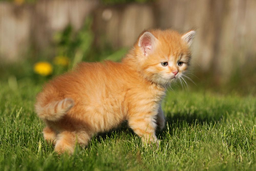 Photograph by Елена Маракулина