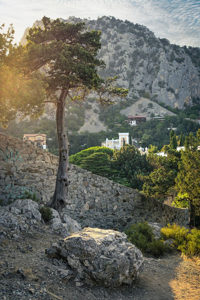 Photograph by Стариков Алексей (AlexOldmanPhoto)