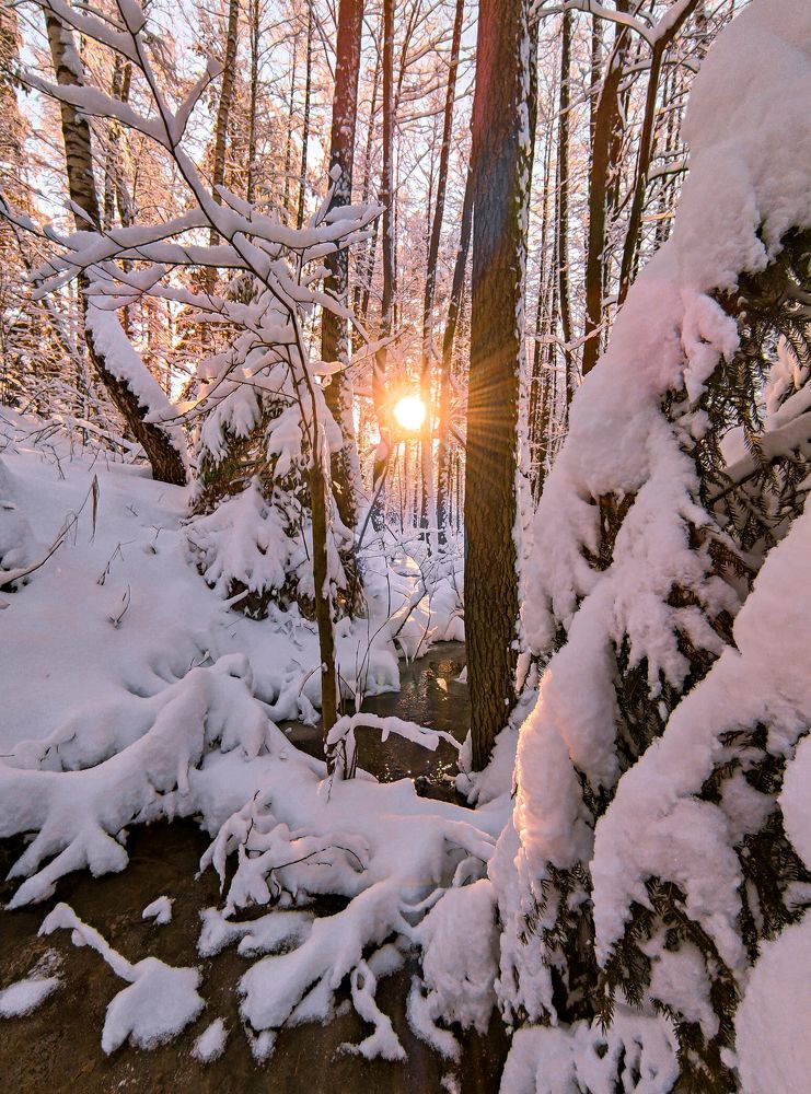 Фотография автора Александр Хухлов