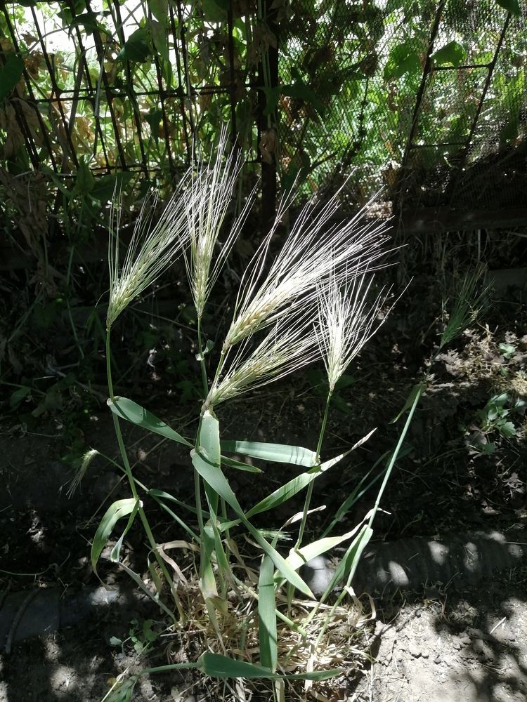 Photograph by Вячеслав Огурцов