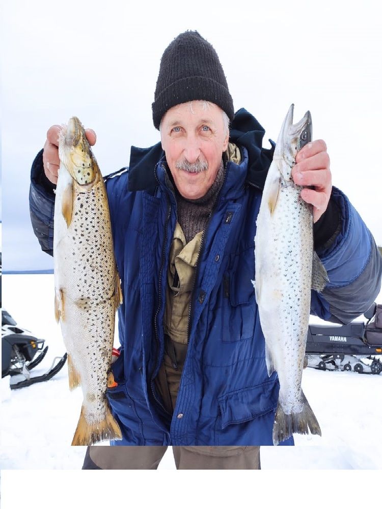 Photograph by Светлана Зотова