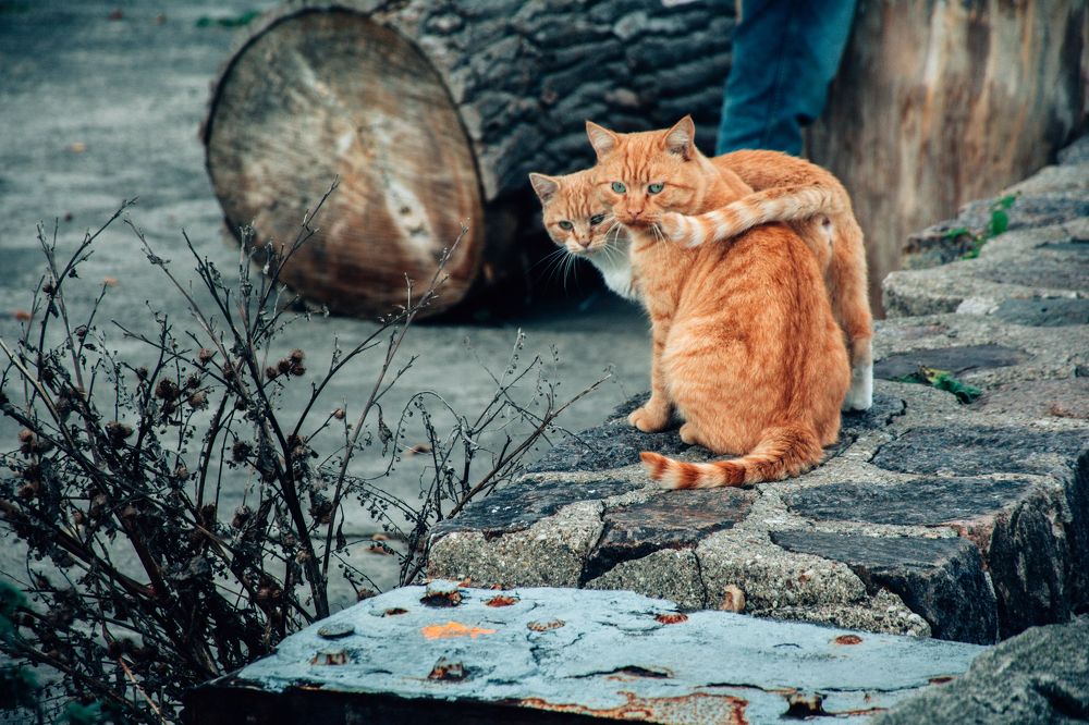 Photograph by Оксана Моргунова