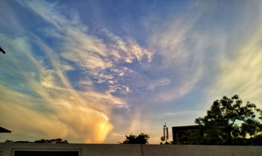 Photo #8724241